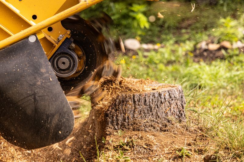 Commercial Tree Stump Removal