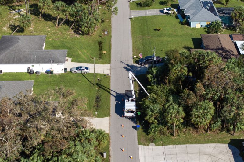Commercial Tree Trimming