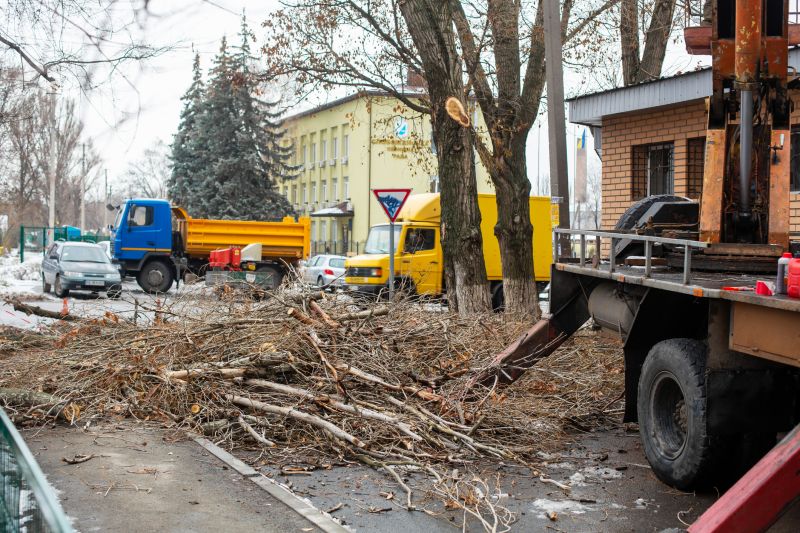 Emergency Tree Service