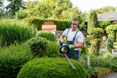 Overgrown Tree Trimming