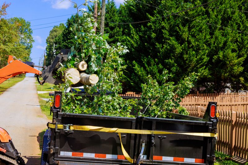 Signs It May Be Time To Remove A Tree From Your Property