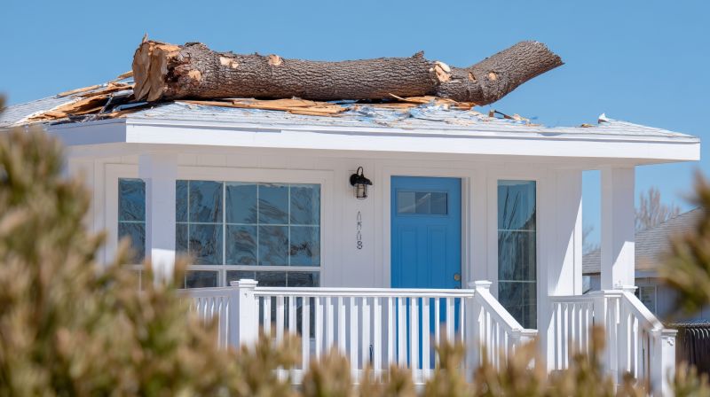 Storm Damaged Tree Removal
