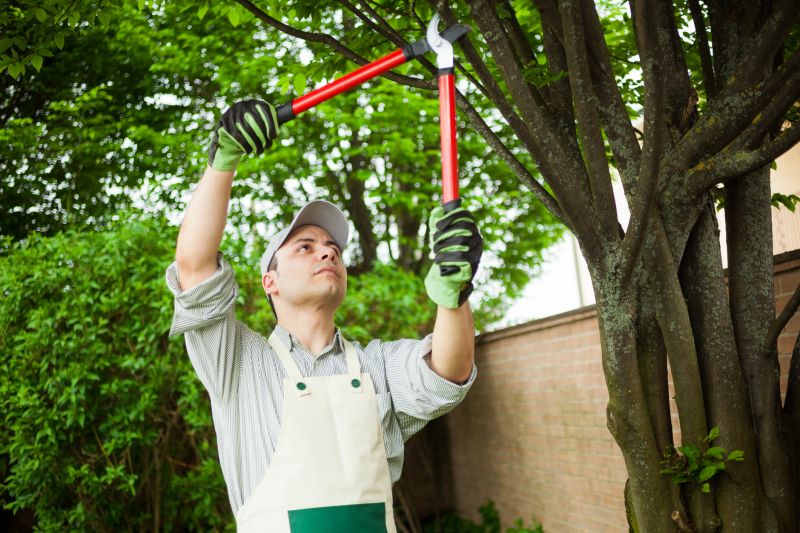 Tree Pruning Service