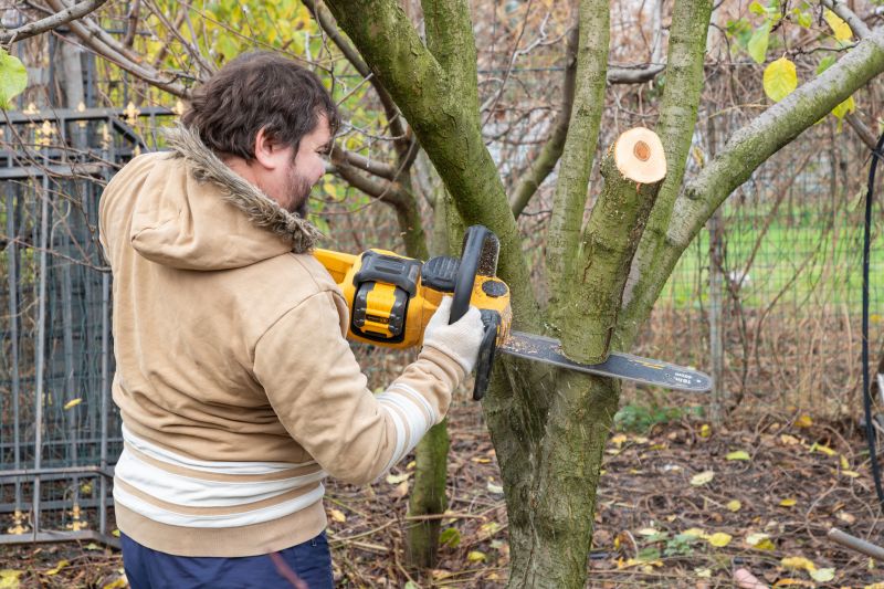 What Causes Trees To Become Hazardous During Storms In Bethlehem